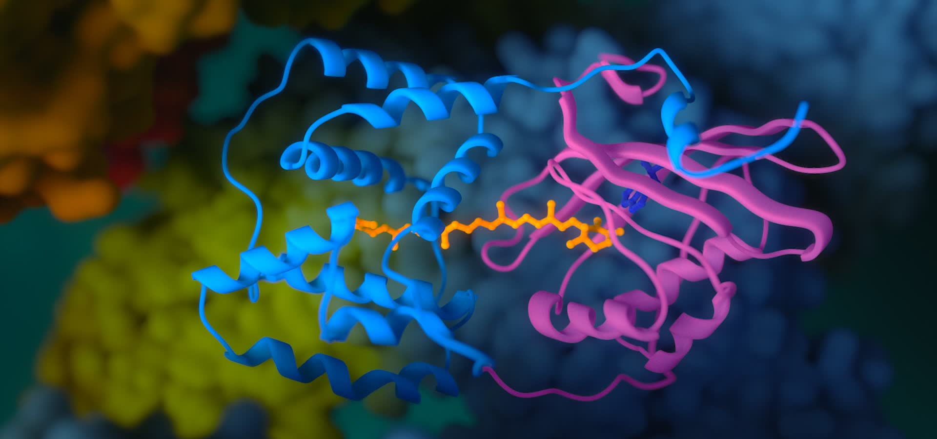 OCP Molecule Visualisation